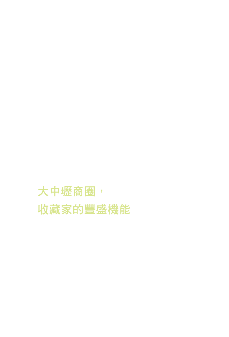 大中壢商圈,收藏家的豐盛機能